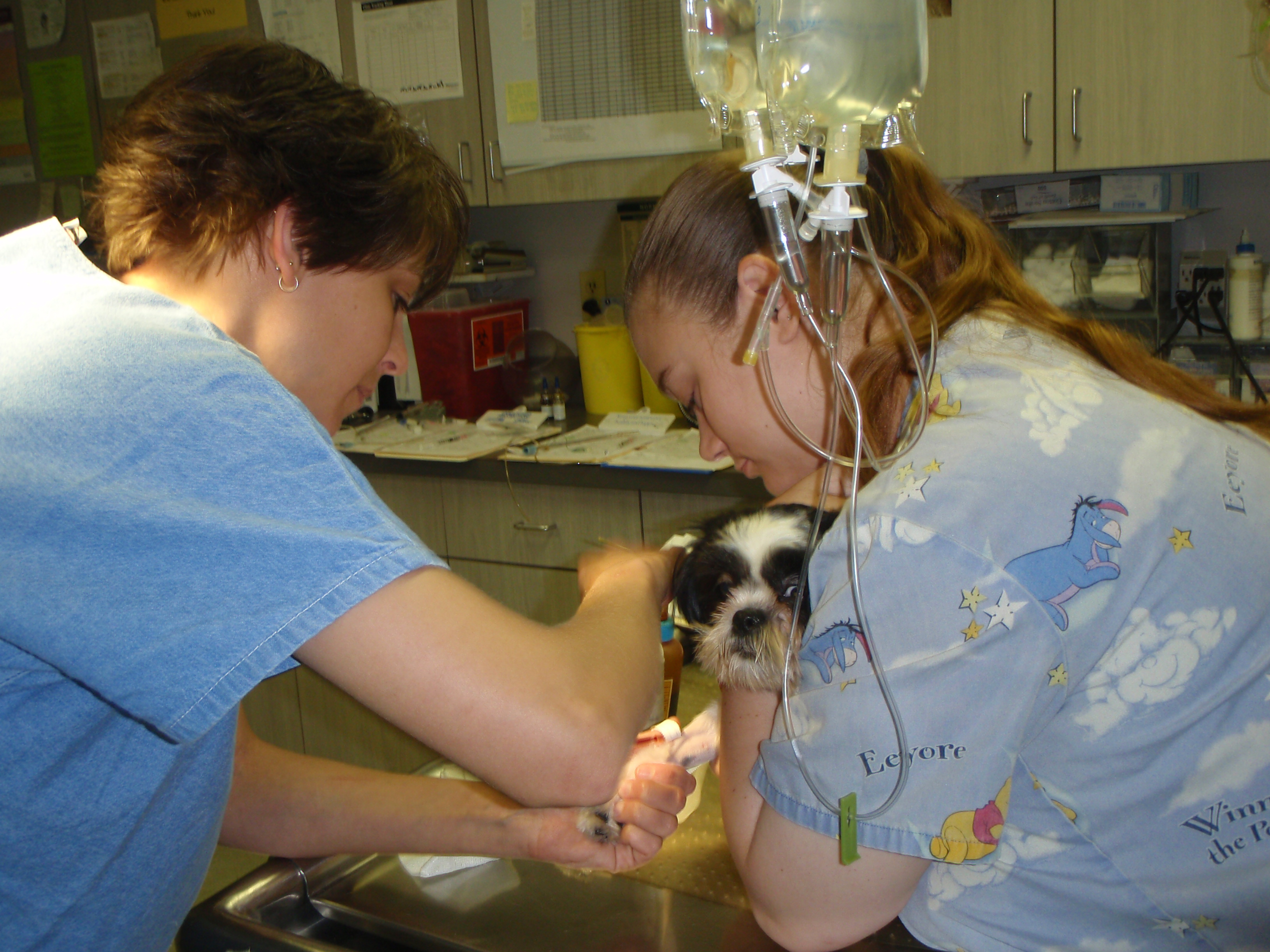 Around Our Clinic Pet Station, P.C. Union, MO